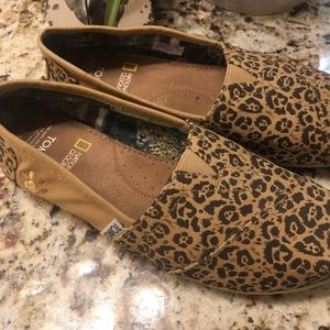 TOMS (Limited Ed) Natural Geographic LEOPARD Print